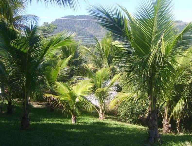 Pousada Colinas De Maricá Exteriör bild
